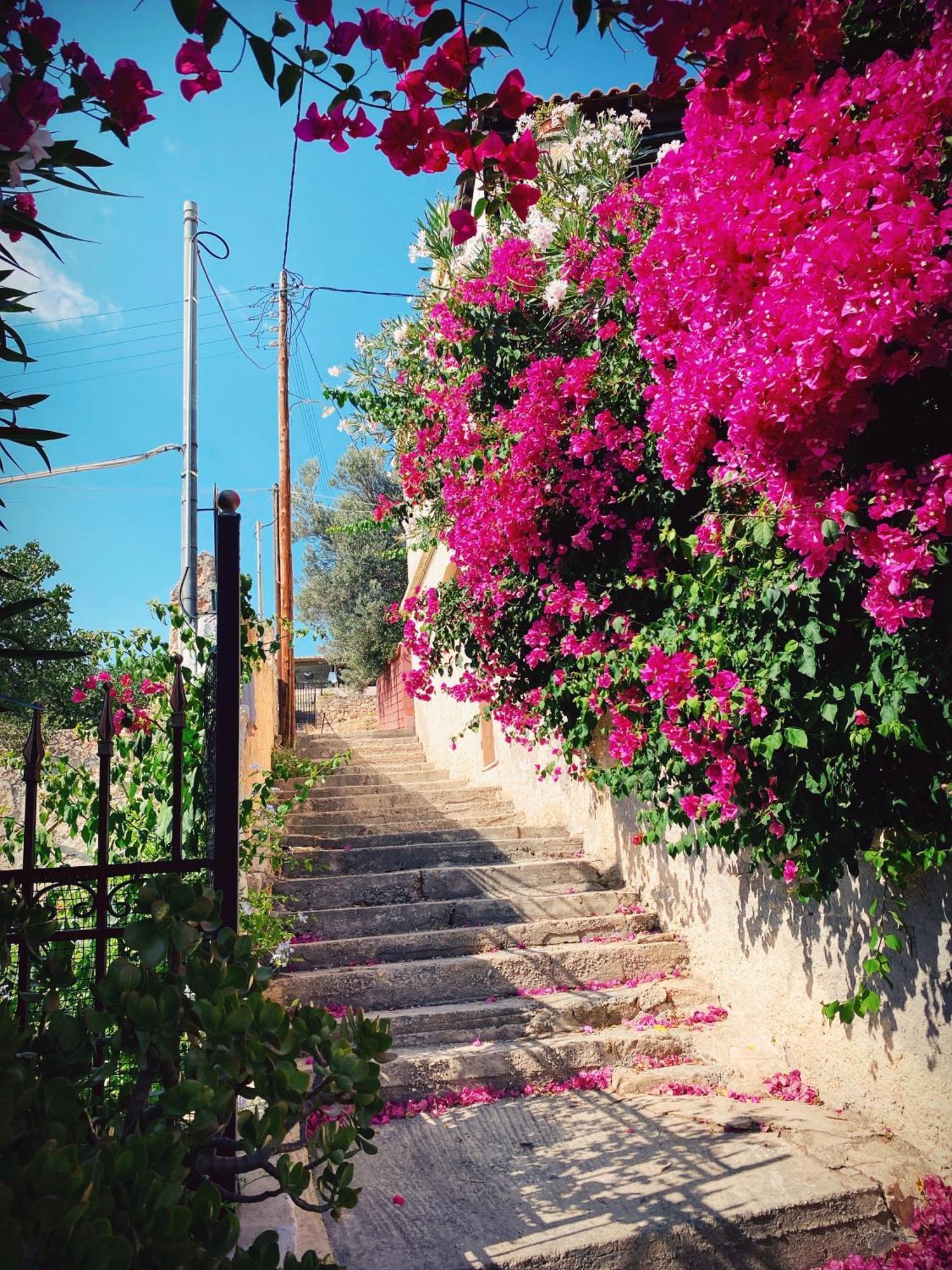 Appartement Vue Sur Mer Soul Family, Egine Aegina Esterno foto
